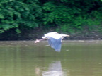 IMG 4753